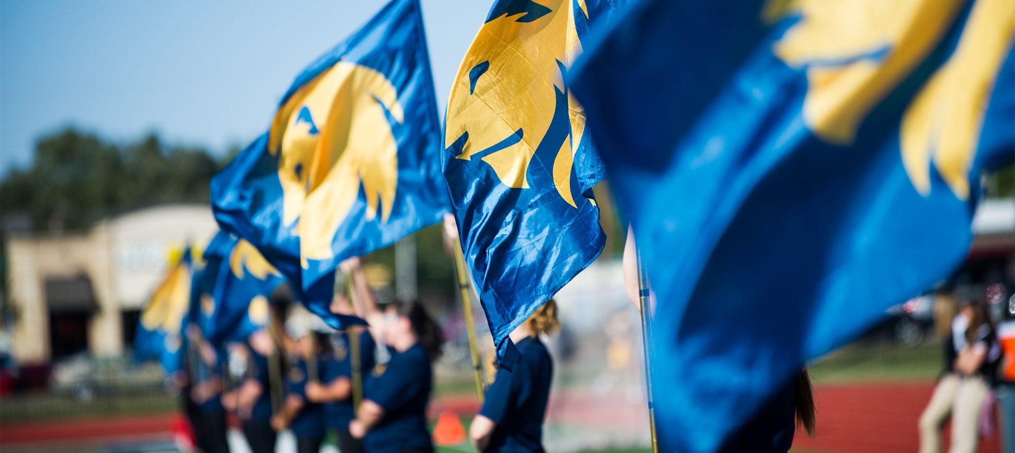 The lion head flags. 